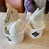 GELATERIA Geream Nishi No Ten - 妻とダブル（520円）をいただきました。