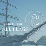 ALL FLAGS - 