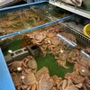 マルキ川嶋鮮魚店 - 