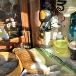 はるる - ねこちゃん部屋。寝てました。