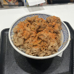 Yoshinoya Hyakugojugogo Sen Shinmaiko Ten - 