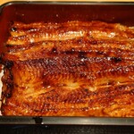 Unagi Takizawa - 