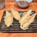 Tempura Ichikawa - 