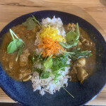 spice curry ANANDA - 