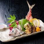 Shun no Sakana to Nihonshu Izakaya Eichan - 