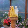 gelateria popolo. - 料理写真: