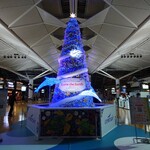 空のおにぎり屋 - イベントプラザのX'masツリー