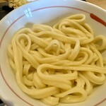 Takekuni Musashino Udon Toyota Shikyo Ten - 麺普通盛り