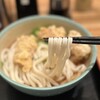 おにやんま - 料理写真:鶏天ぶっかけ