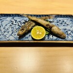 Ginza Nomino Koji Yamagishi - 