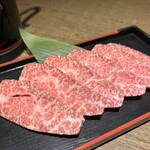 Yakiniku Shubo Mizubasho - 