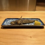 Ginza Nomino Koji Yamagishi - 