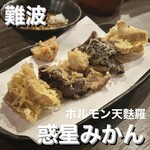 Horumon Tempura Wakusei Mikan - 