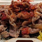 Yakiniku Higyuu - 