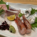 Sacchan Sushi - 