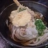 本格手打うどん あらた - 料理写真:ぶっかけ天　冷