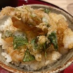 Kurumaebi Senka Tempura Teissoku - 