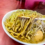 234854220 - 麺は硬めの茹で加減、どんどんスープ吸って短期間で味がどんどん良い意味で変化して行きました。なんてこった！