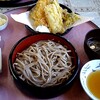 元祖 手打生そば やまびこ - 料理写真:天ざる