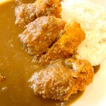 Shige Ton - とんかつざんまいカレー