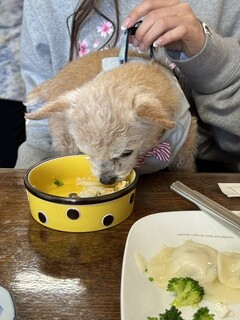 伊豆高原 餃子こうげん倶楽部 - 