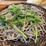 蕎麦処 樹樹 - 