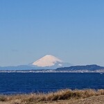 ごはんや花 - 美しい富士山と東京湾フェリーを一緒に撮影しました。