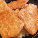 Tonkatsu Masa Chan Botanyama Ten - タレカツ丼