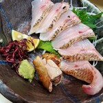 Sacchan Sushi - 