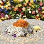 Shirasu Kenkyujo Kamakura - 鎌倉産生＆釜揚げしらすといくらの三色丼湘南寿雀卵TKG¥1,950(税込)