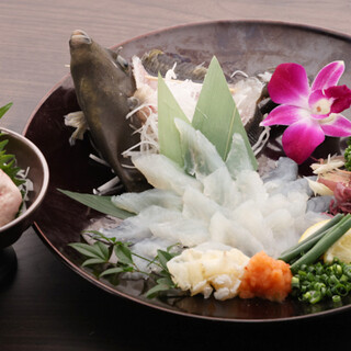 《Excellent freshness》 Enjoy the exquisite sake side dishes, from ikezukuri to Tempura.