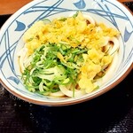 Marugame Seimen Mie Daigaku Mae Ten - 