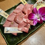 Matsusaka Ushi Tajima - 