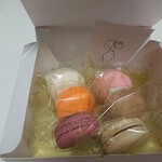 MAISON MACARON - 