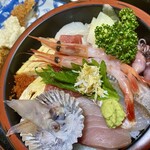 Toyotomi Zushi - 