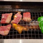 Yakiniku no Watami Ikebukuro Higashiguchi Ten - 