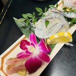 Katsugyo Sushi Shomi - 