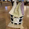 Maruyama Gelato Ebetsu Tsutaya Shoten - トリプル（シチリア島プロンテ村産ピスタチオ＋ストロベリー＋紫芋）