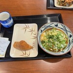 Marugame Seimen Toyama Gofuku Ten - 