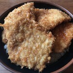 Tonkatsu Masa Chan Botanyama Ten - 