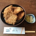 Tonkatsu Masa Chan Botanyama Ten - 