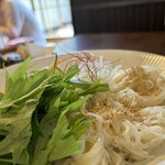 Somen Dokoro Surusuru - 素揚げ野菜と2種食べ比べそうめん