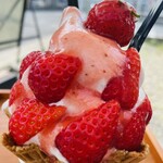 HIGASHIDA FARM STRAWBERRY - 