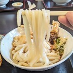 Sanuki Udon Chiyuki - 