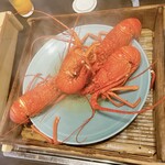 伊勢海老　海鮮蒸し料理　華月 - 活伊勢海老大1尾(1人分)