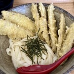 Tanotsu Udon - うどんを圧倒してるトッピングのごぼう天（驚