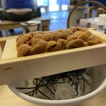 圓子水産 - ウニ丼