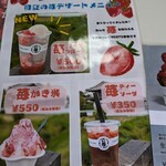 HIGASHIDA FARM STRAWBERRY - 