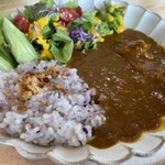 KAMEDA-YA coffee&wine - 五穀米で頂くカレーはスパイシーで美味しい