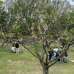 Hiraoka Ume Honpo - 